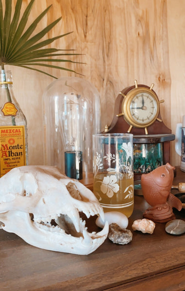 Mid-century Modern Floral Highball Tumbler