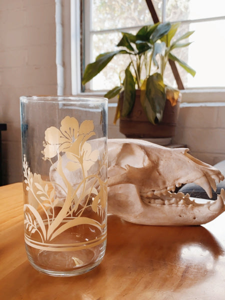 Mid-century Modern Floral Highball Tumbler