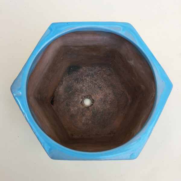 Vintage Hexagon Pot